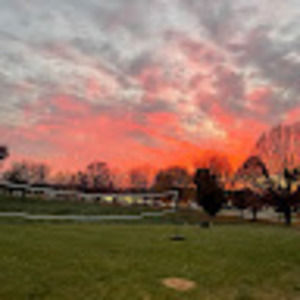 Meet your Posher, Ava